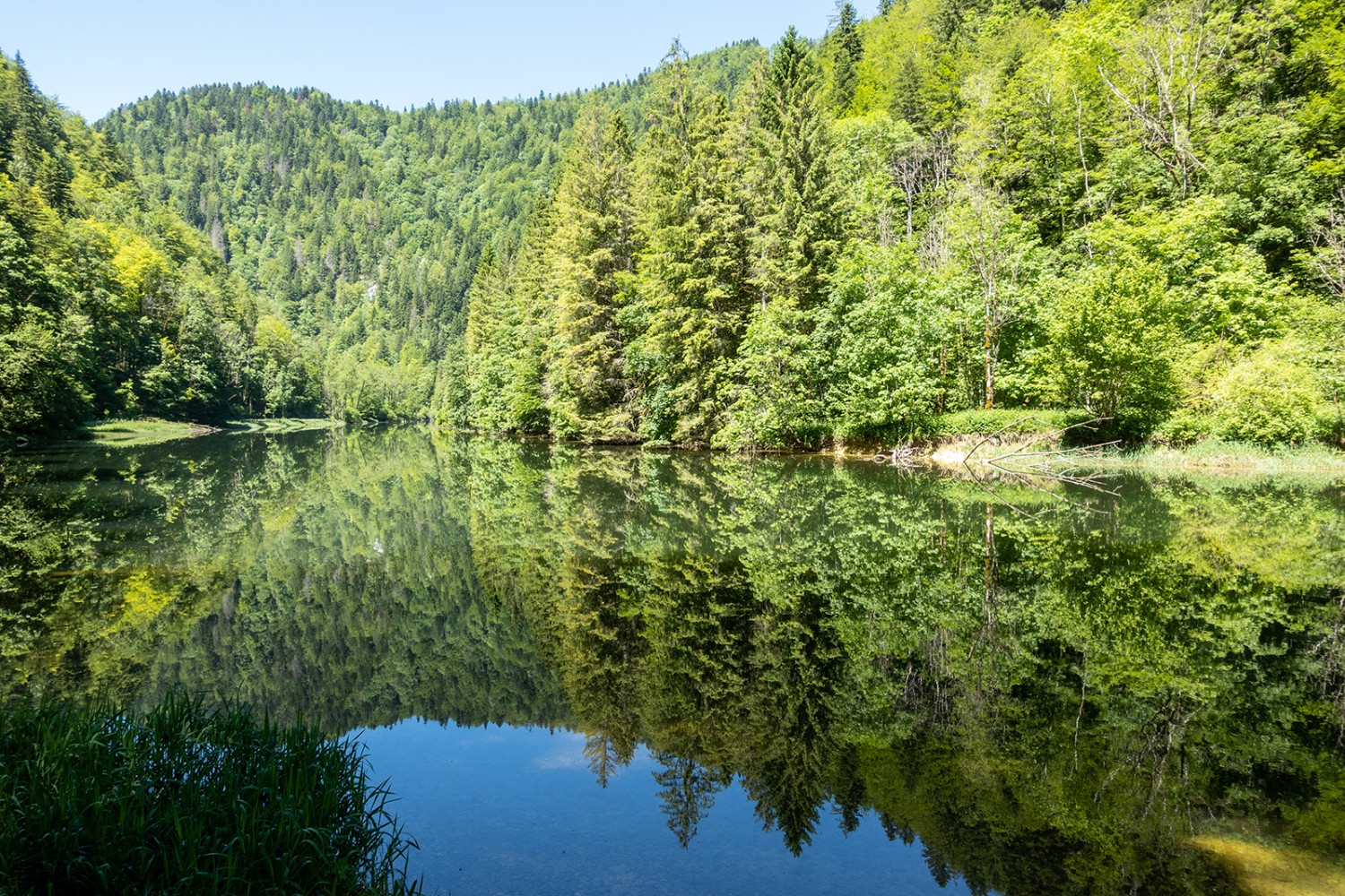 Au lieu-dit Chez Bonaparte, les arbres se reflètent dans le Doubs comme dans un lac.