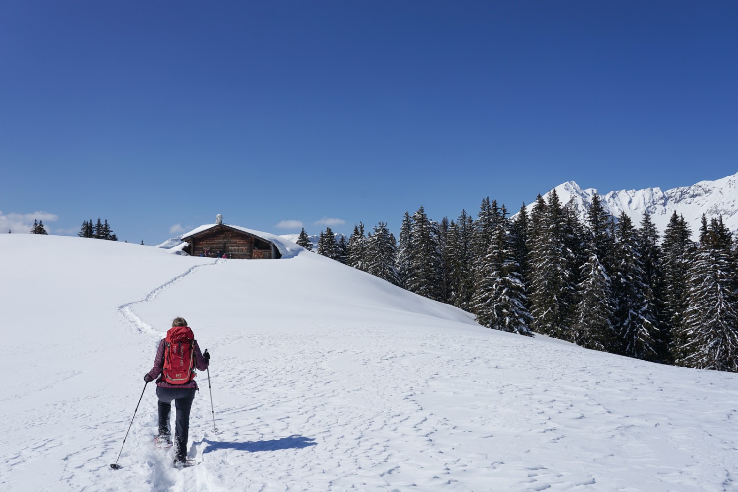 L’objectif de la randonnée: le chalet d’alpage à Oudiou. Photo: Reto Wissmann