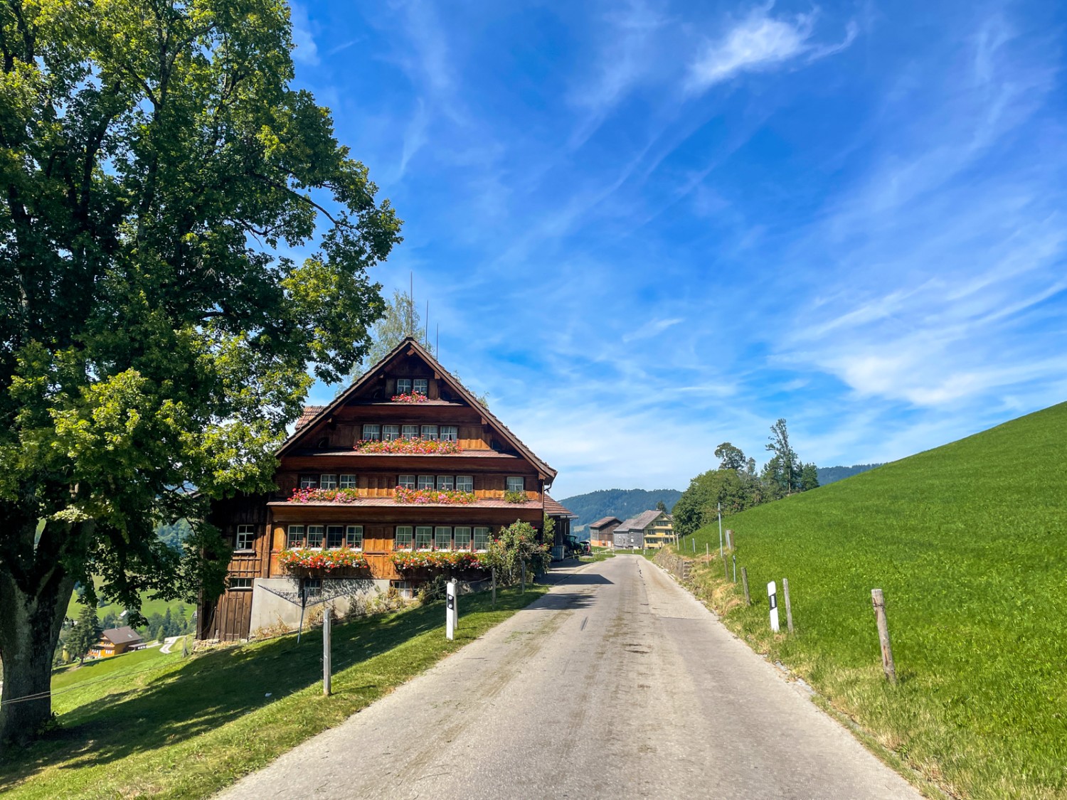 De belles fermes, des arbres fruitiers luxuriants et des routes de campagne paisibles: l’idylle appenzelloise. Photo: Claudia Peter