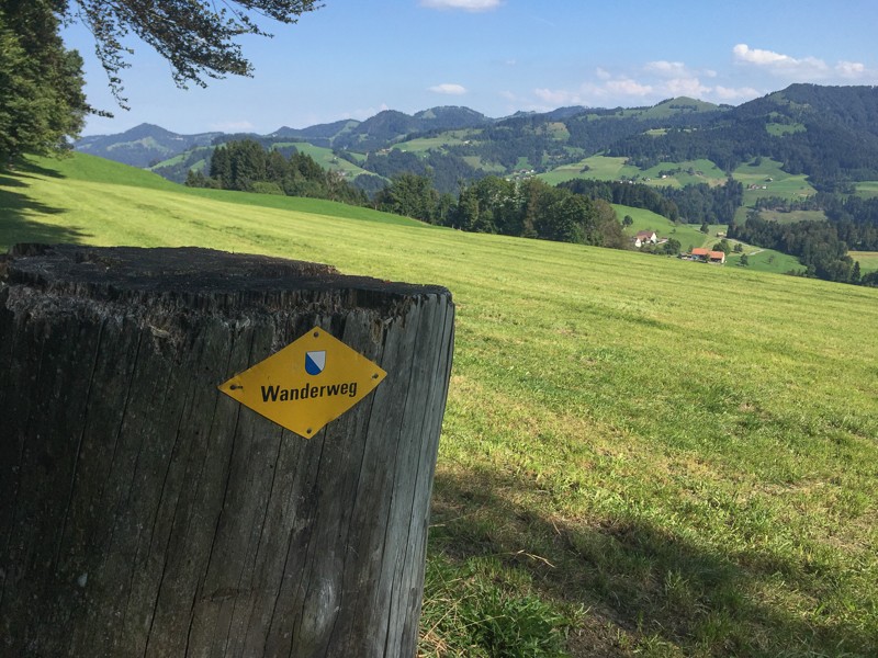 Cette randonnée offre de belles vues sur l'Oberland Zurichois. Photo: Vera In-Albon