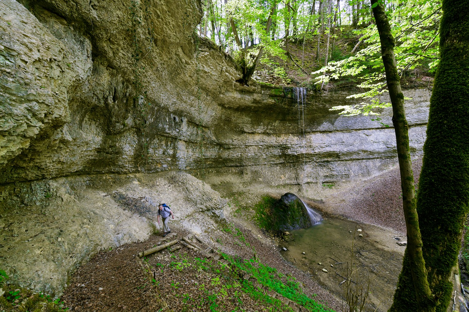 La chute d’eau du Giessen: un bel exemple du Jura tabulaire. Photos: Daniel Fuchs