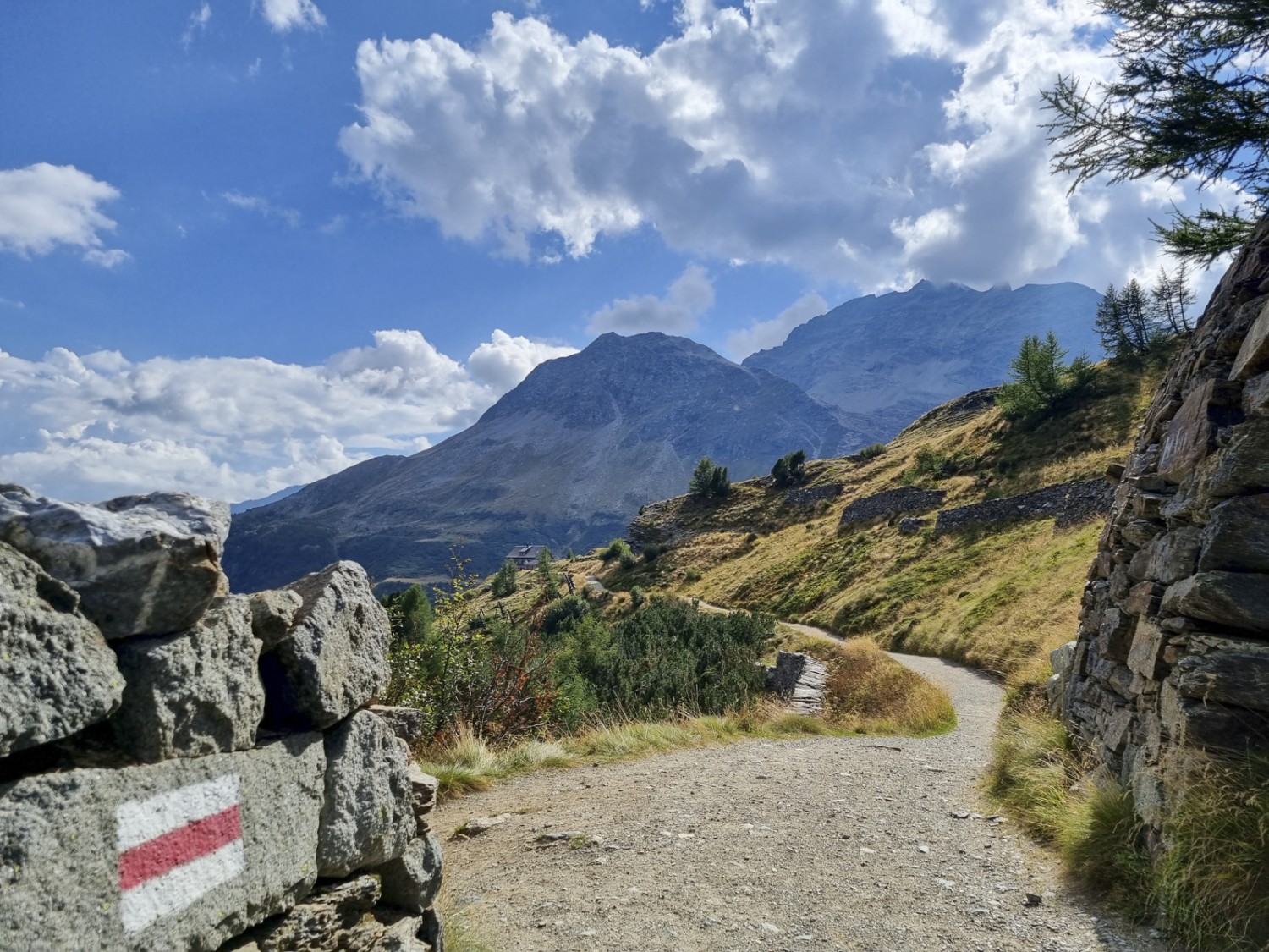 Der Schluss ist Auslaufen. Vorne sieht man schon die Casa Alpina Belvedere. Bild: Nathalie Stöckli 