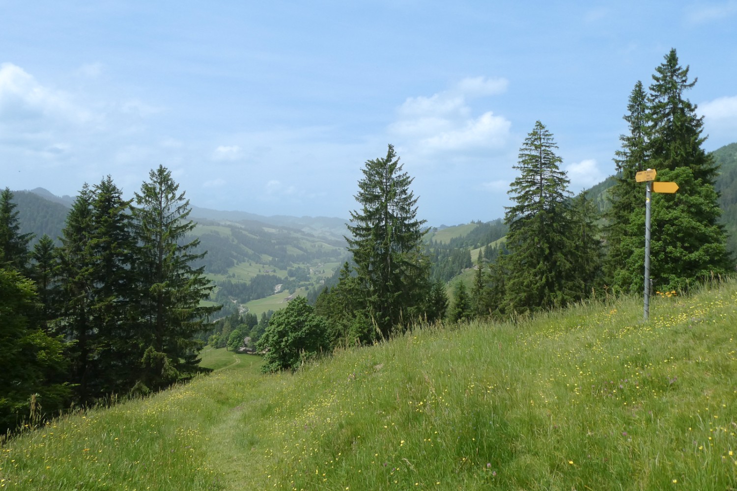 Descente au Bödeli et vue vers l’aval et Thoune. Photo: Tatjana Häuselmann