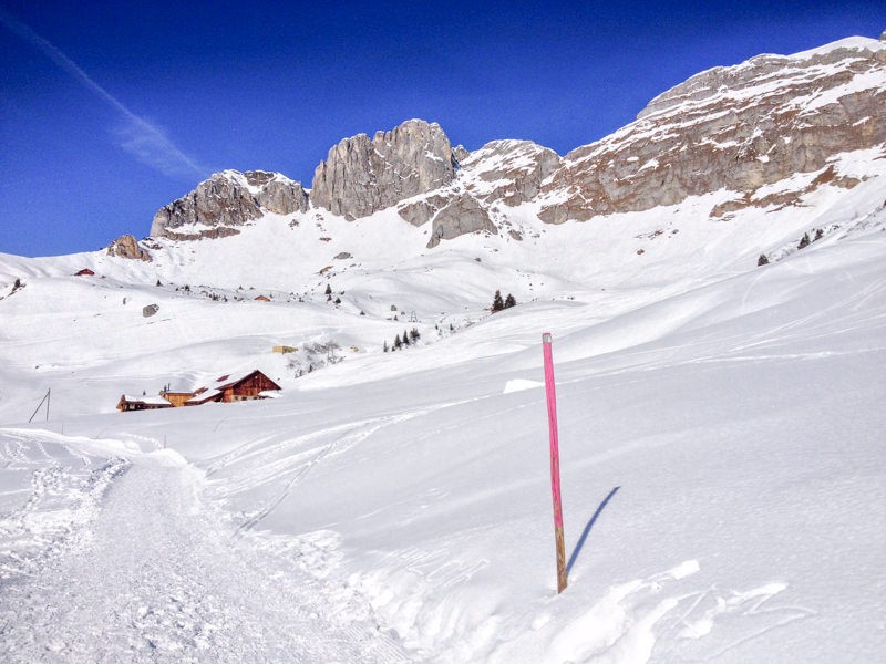 Le chemin de randonnée d’hiver est bien balisé sur toute sa longueur par des poteaux roses. Photo: Claudia Peter