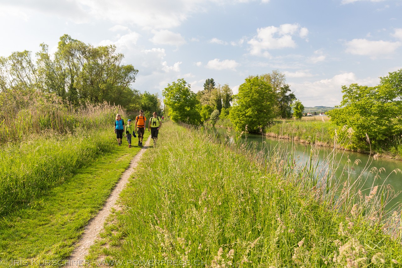 Le canal de Huningue, un biotope idéal pour le rossignol. Photo: Iris Kürschner