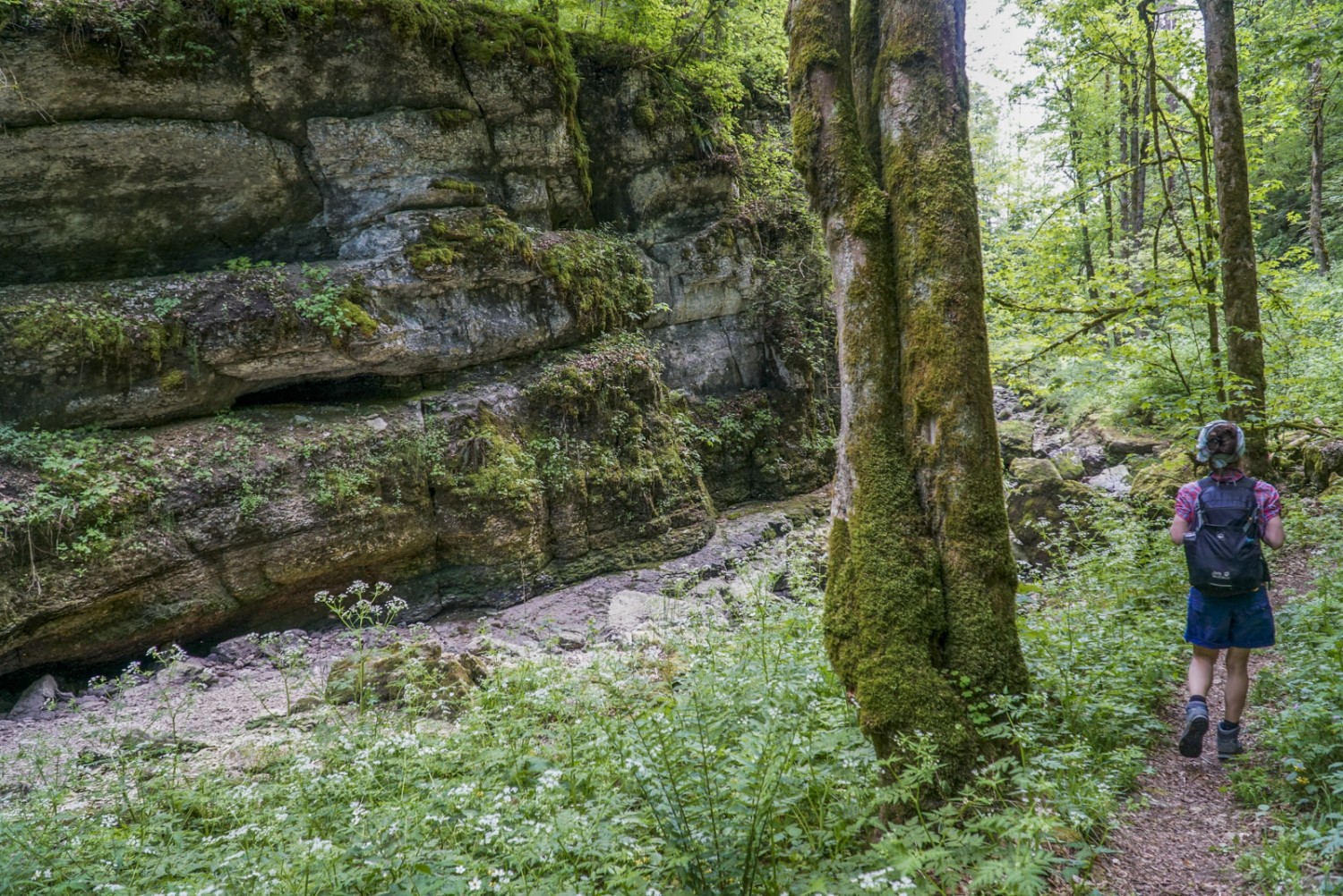 Typique de la randonnée dans la combe: ombres, parois rocheuses et lit du ruisseau à sec. Photo: Mia Hofmann