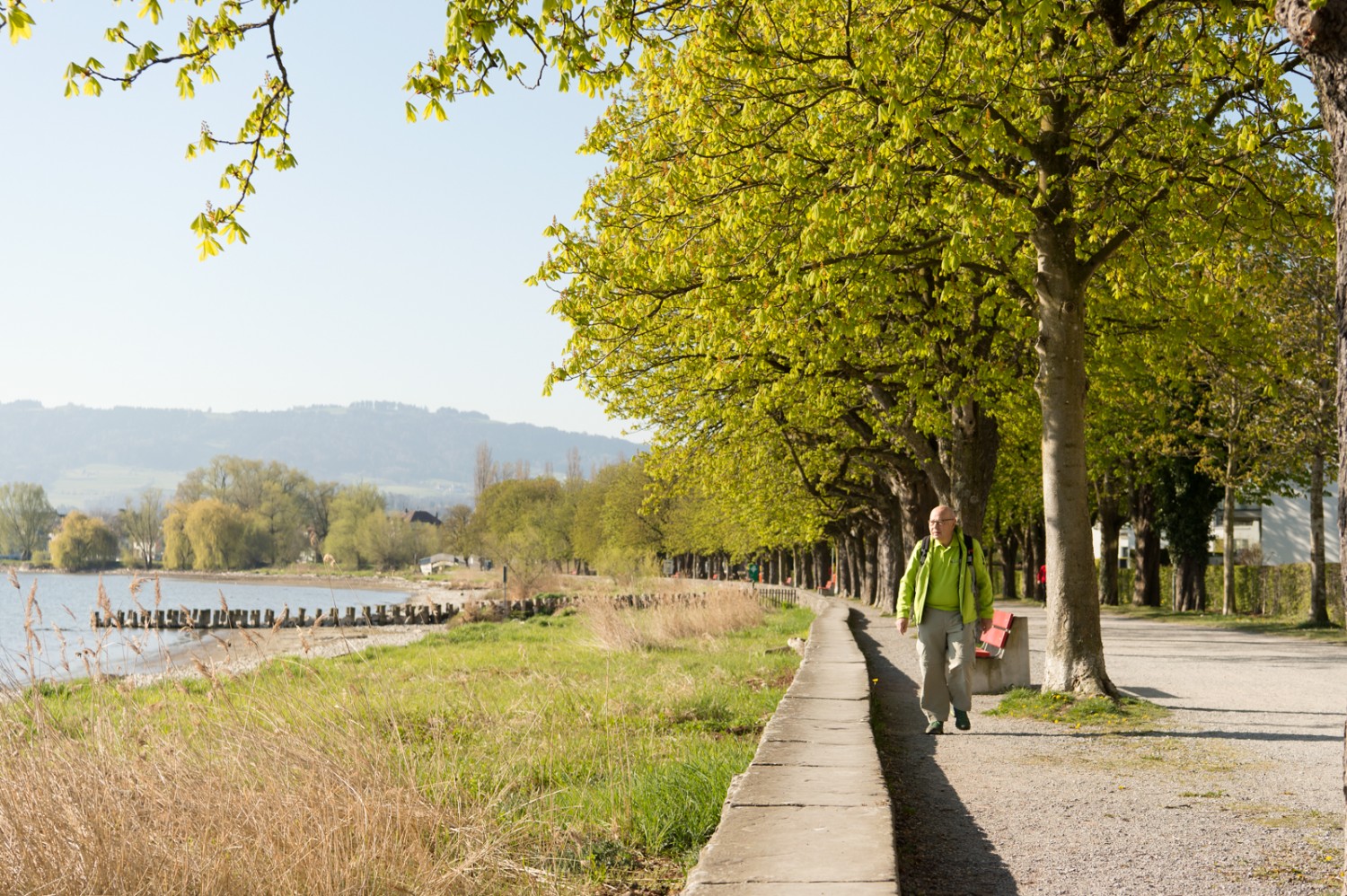 Agréable promenade à Arbon, au bord du lac de Constance. Photo: Raja Läubli
