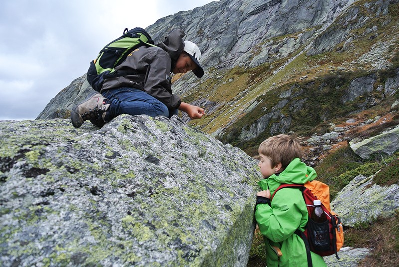 Des jeunes chercheurs examinent les lichens lors de la montée.