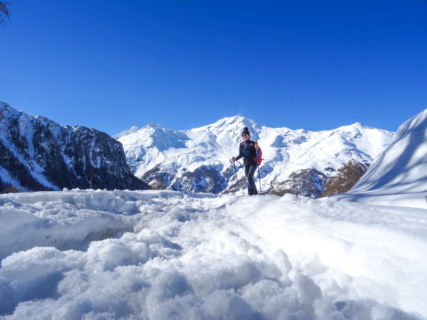Dans la montée vers l’alpage des Mayens de Bréonna. Photo: Sabine Joss