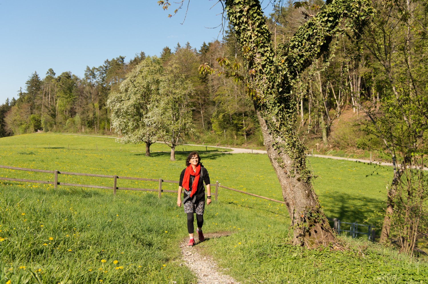 Une partie du chemin fort agréable près de Friedberg. Photo: Raja Läubli