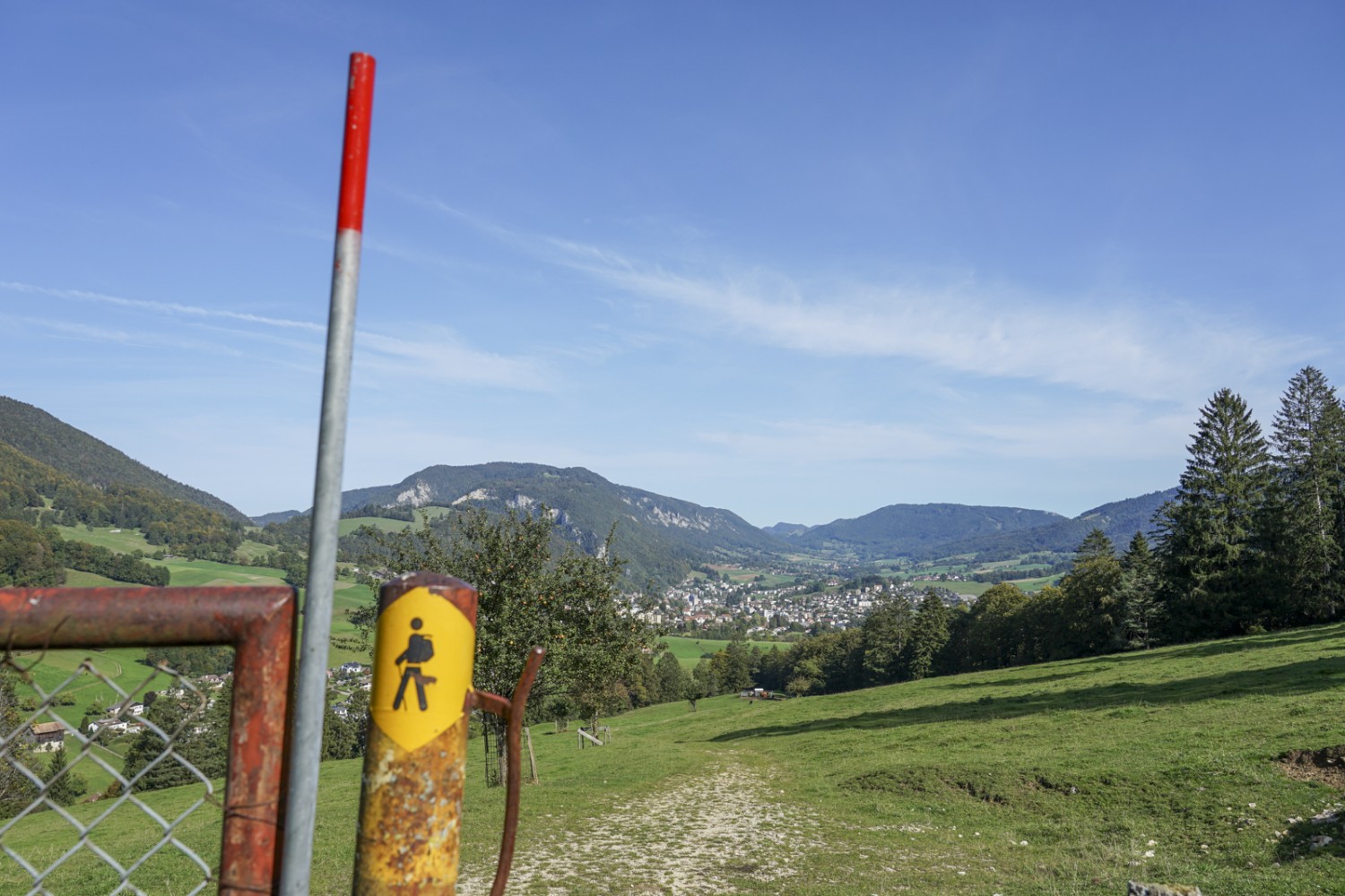 Le chemin revient à Perrefitte en traversant des pâturages boisés, avec vue sur Moutier. Photo : Reto Wissmann