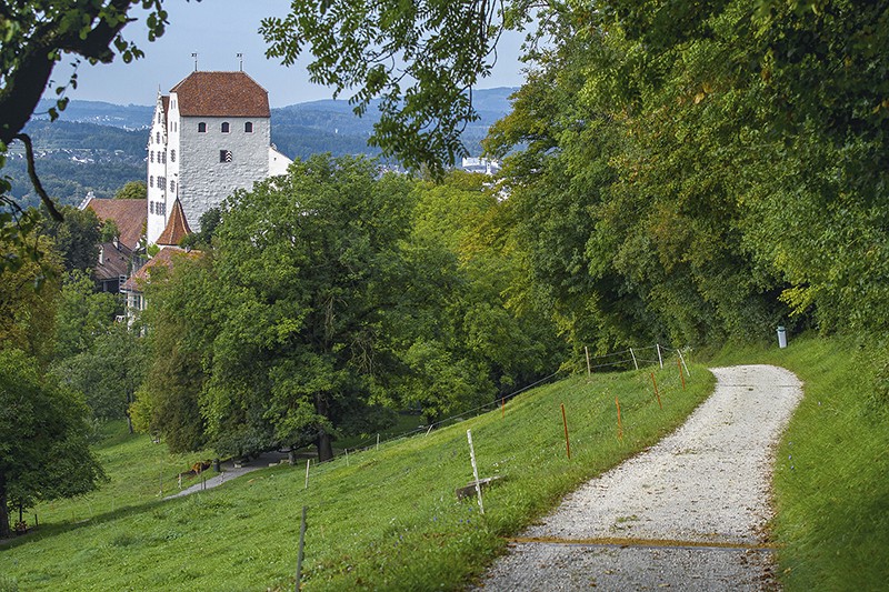 Le château de Wildegg: domaine baroque au vaste jardin. Photo: Association «Les Châteaux suisses»