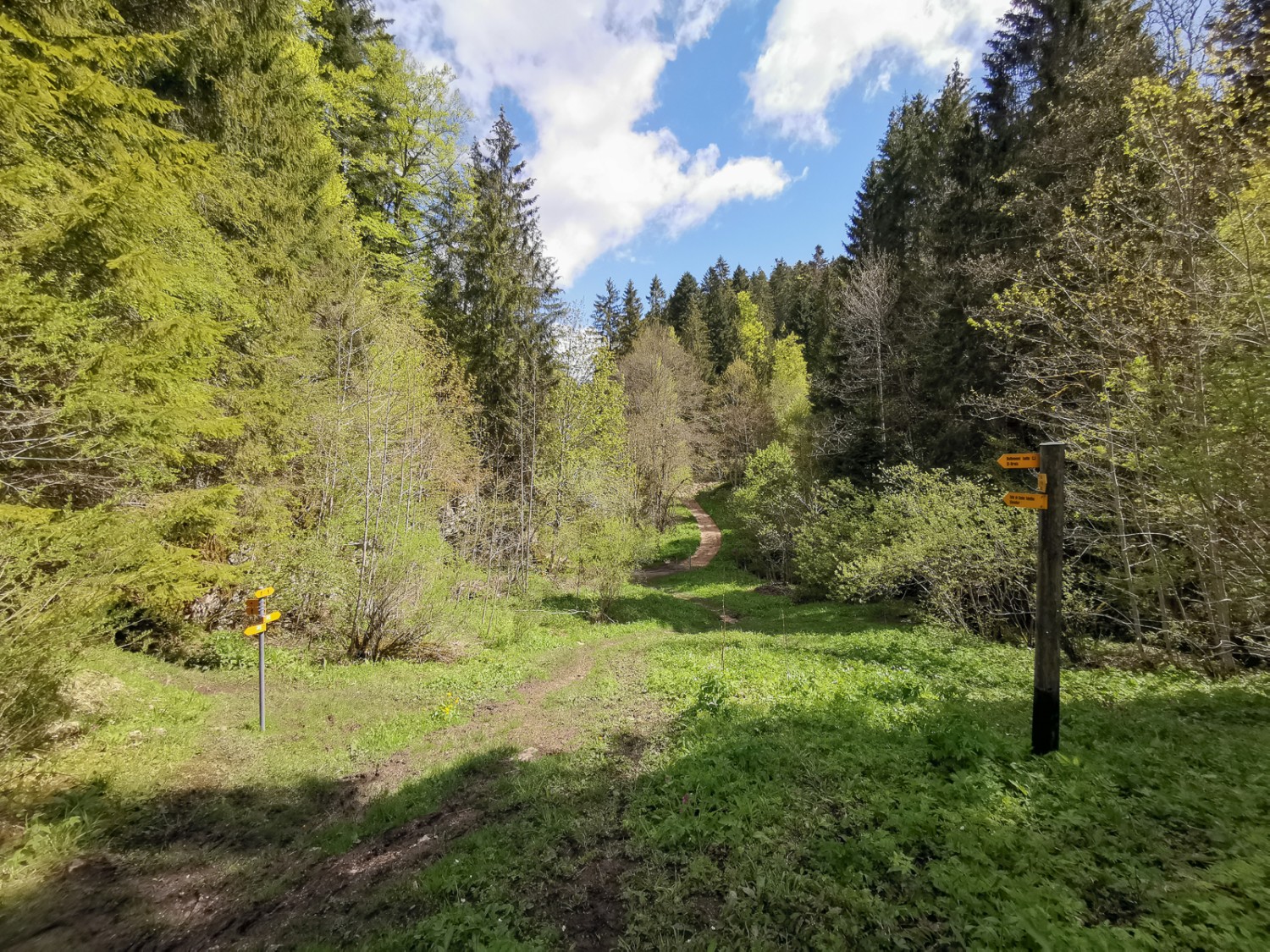 Gorge sauvage dans les Franches-Montagnes