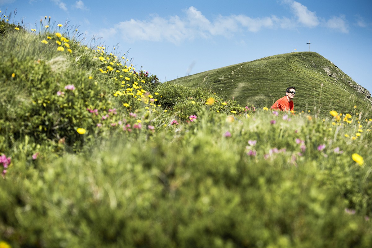 Le chemin vers le Gibel est très fleuri. Une fois au sommet, la vue s’ouvre sur l’Oberland bernois. Photos: Severin Nowacki