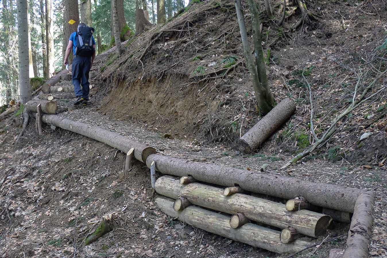 Des pieds bien au sec sur le nouveau chemin dans la forêt.