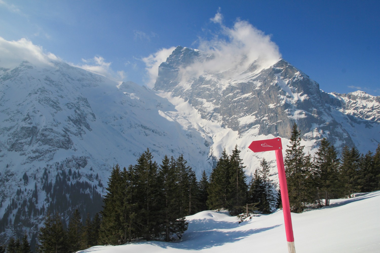 En route sur le Grotzlitrail.
Photo: Elsbeth Flüeler