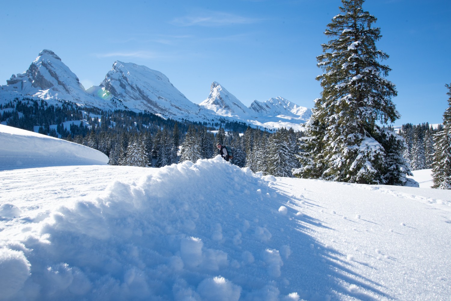 Le paradis hivernal de Selamatt. Photo: Randy Schmieder