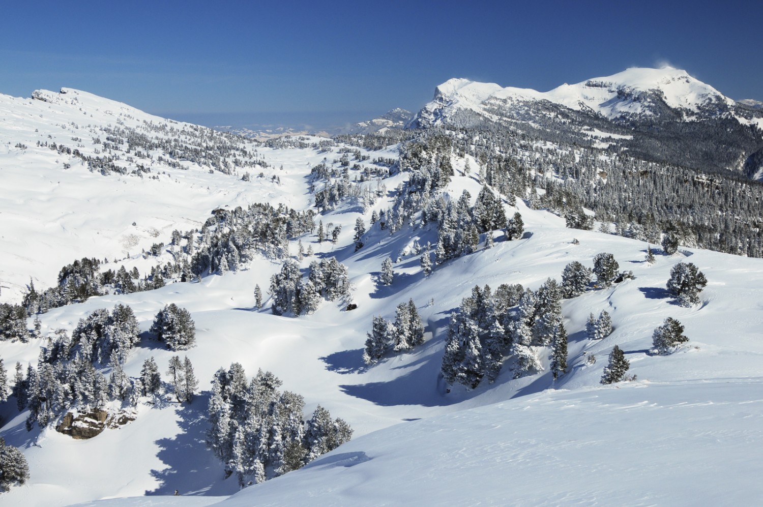 De la Gemmenalp, on voit le Sibe Hängste. Photos: natur-welten.ch