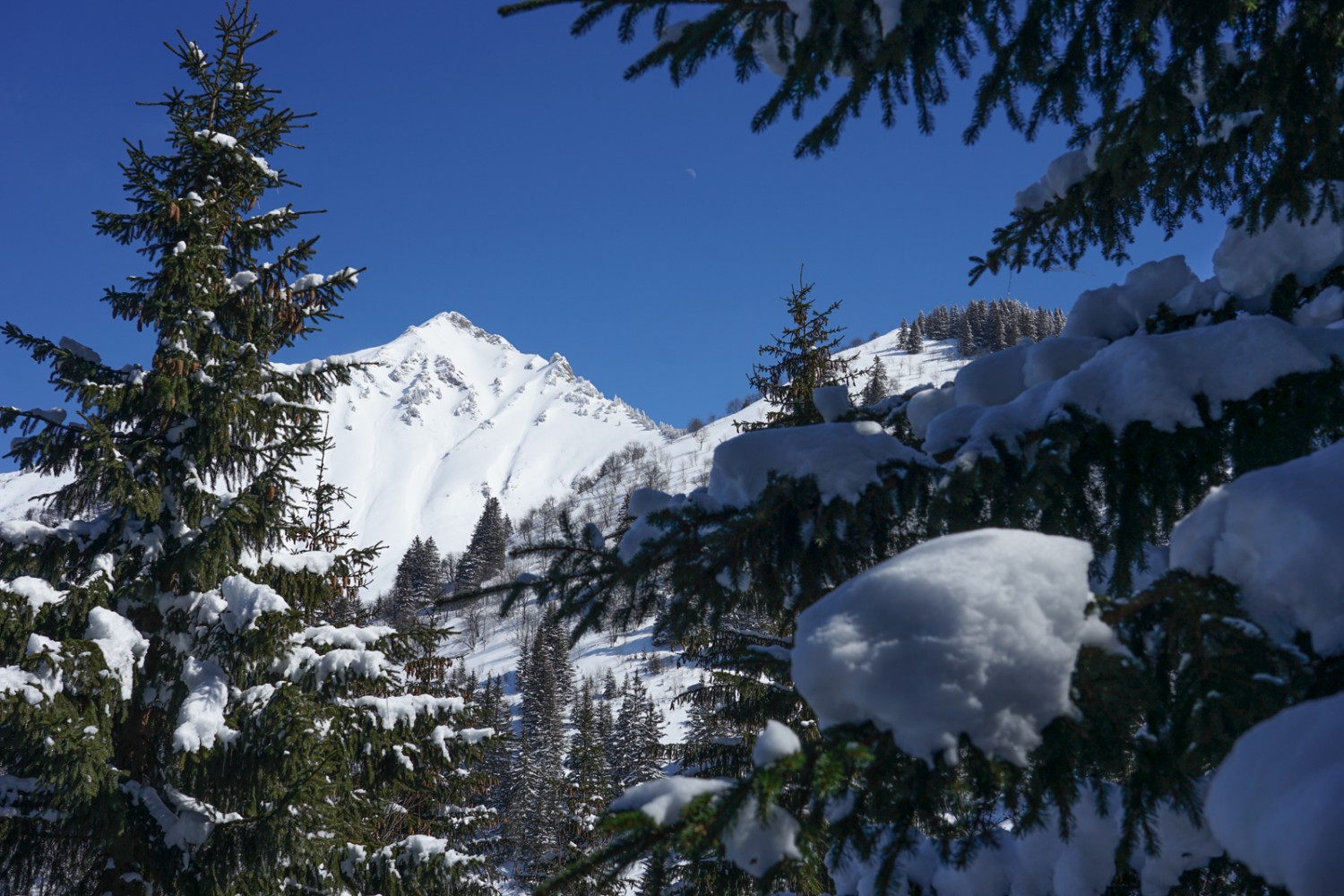 Le Pic Chaussy, ancienne piste de ski, est aujourd’hui très apprécié des randonneurs à ski. Photo: Reto Wissmann