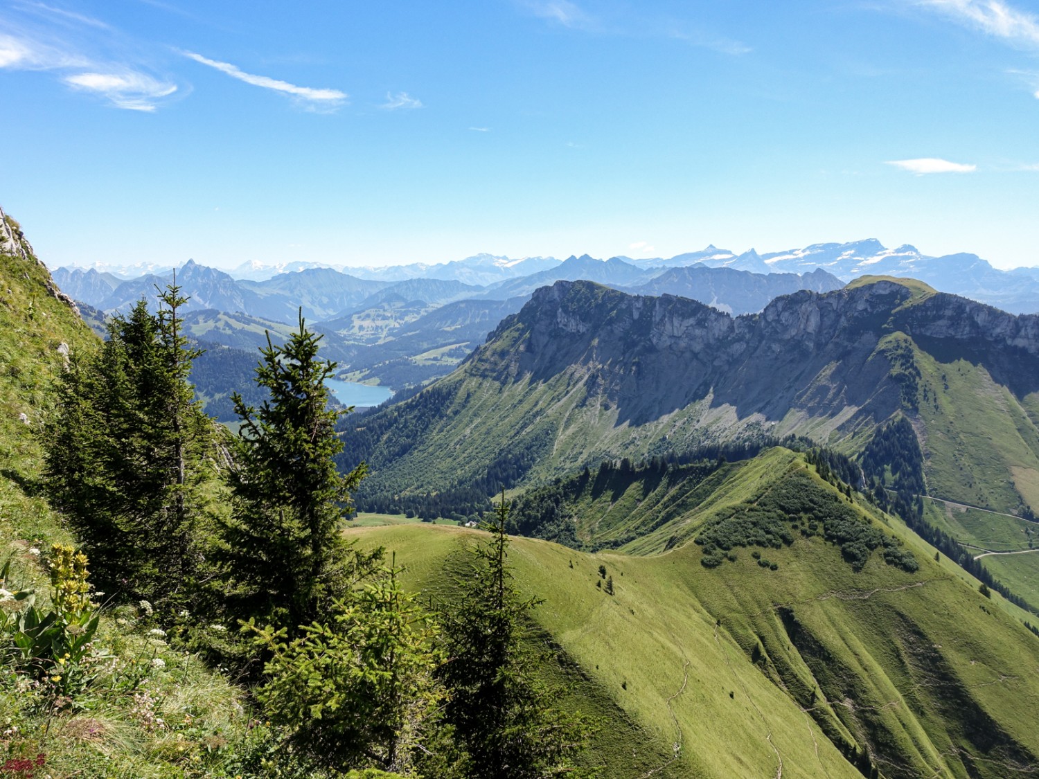 Le Lac de l’Hongrin depuis le Jardin Alpin. Photo : Lauriane Clément
