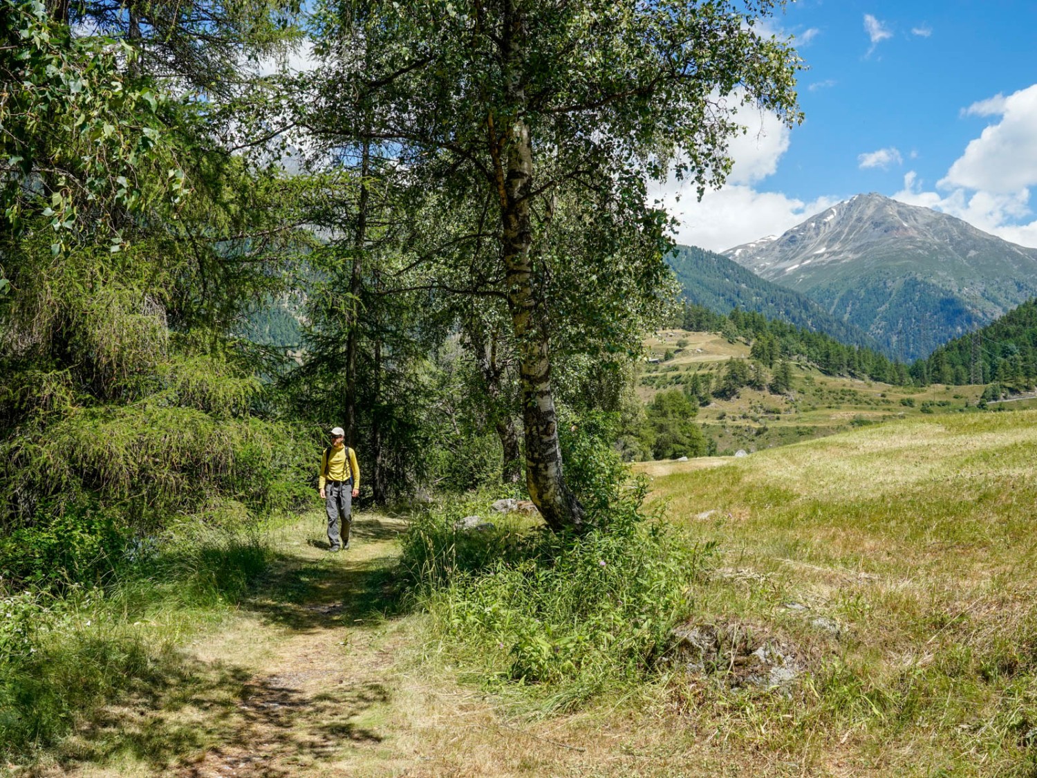 Dans une étroite bande de forêt au bord de l’Inn. Photo: Fredy Joss