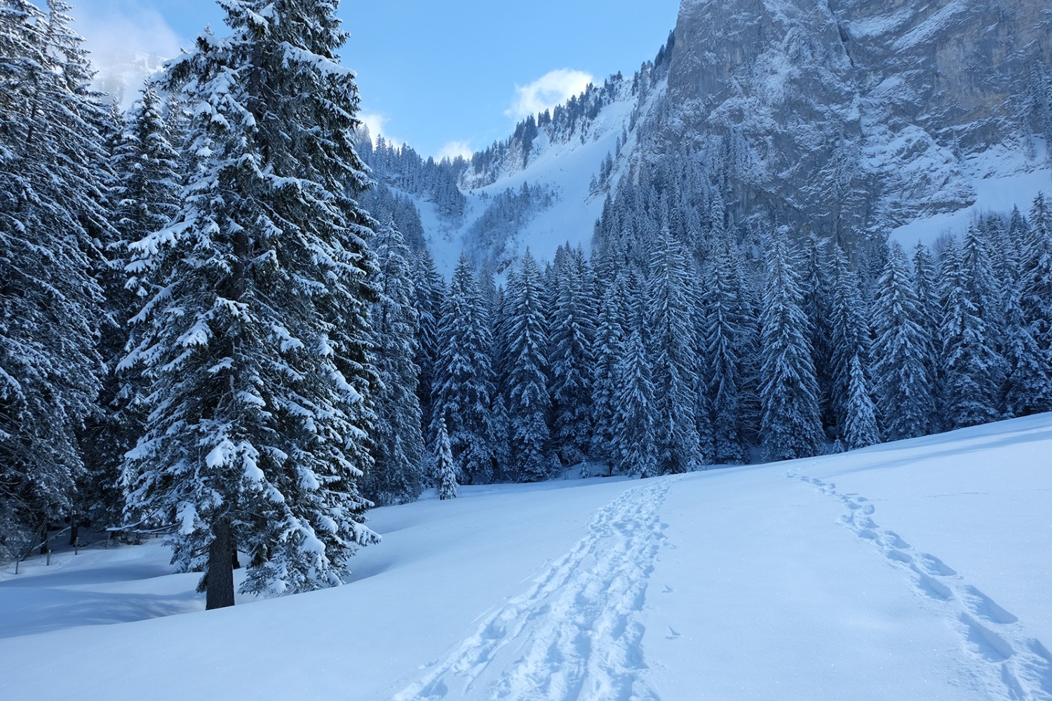 Des traces petites et grandes dans la neige. Photos: Elsbeth Flüeler