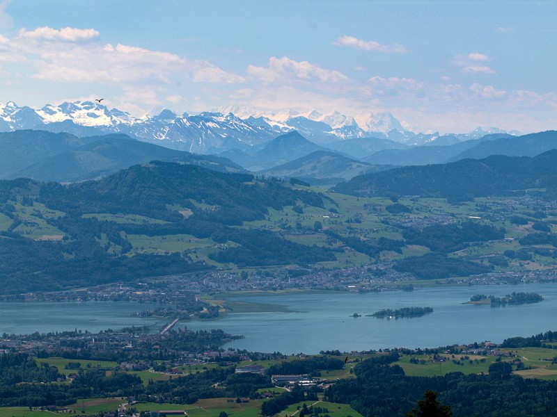 Vue sur le lac de Zurich. Photo: màd