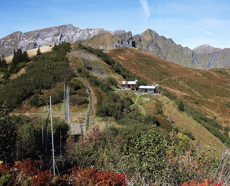 La station de baguage est située sur le col de Bretolet à environ 2000 mètres. Photo: M. Thoma