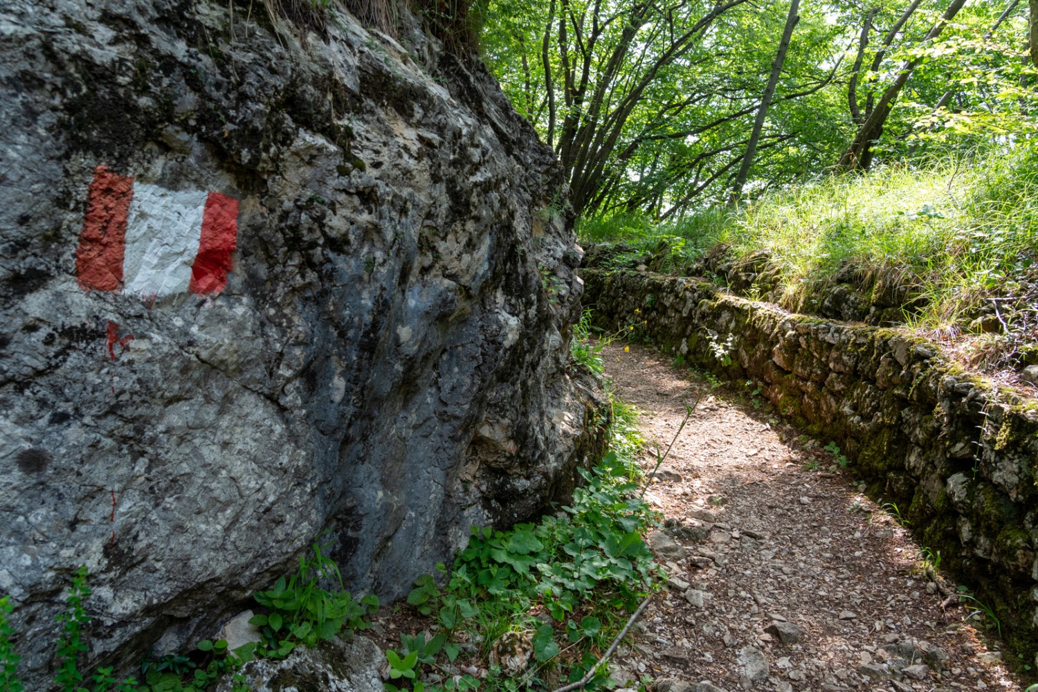 Les tranchées italiennes sur le Monte Pravello, à la frontière suisse, où la montagne se nomme Poncione d’Arzo.