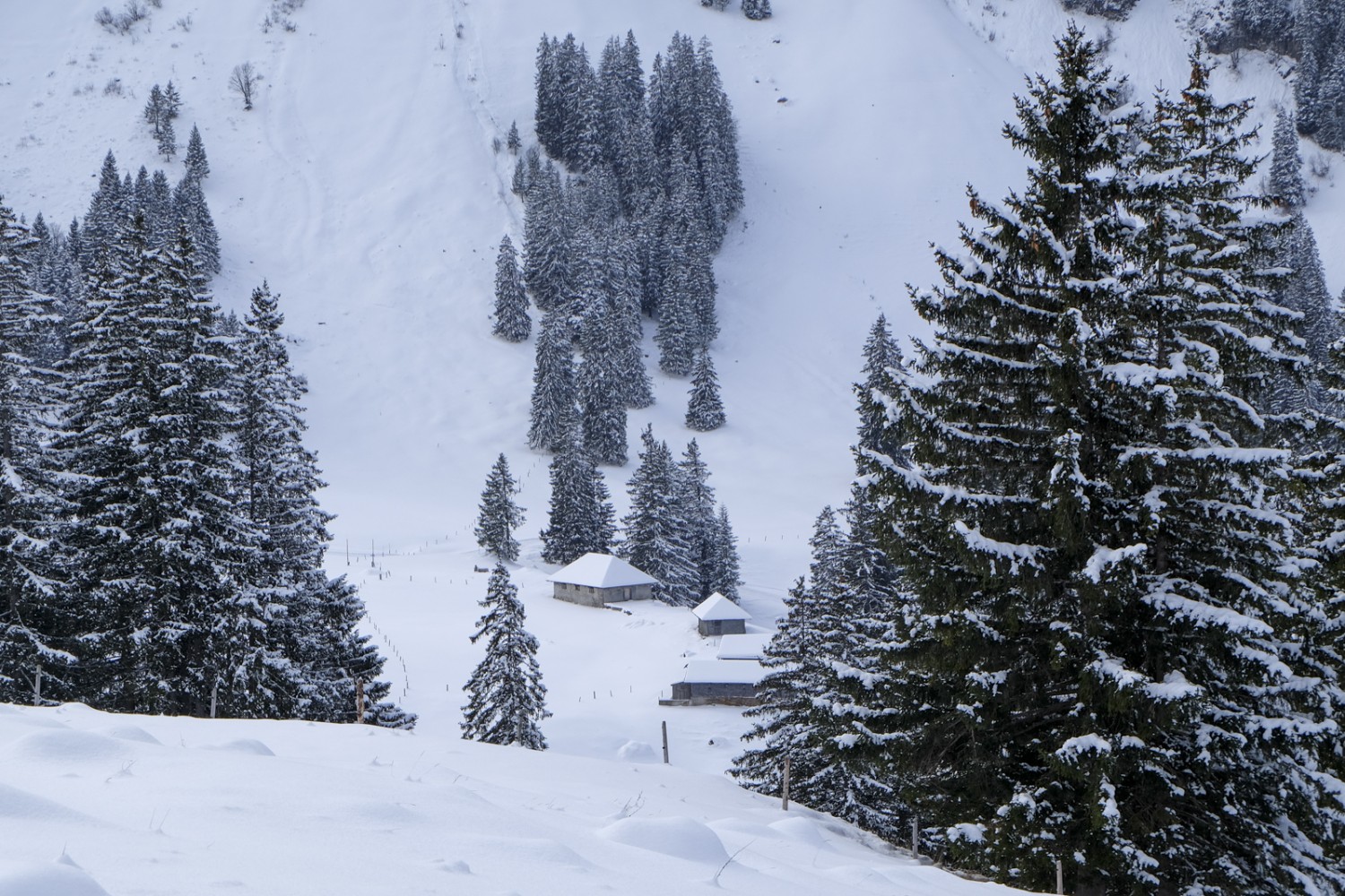 L’alpage de Dürrenboden en hiver et les cabanes de la Unteren Rone. Photo: Elsbeth Flüeler