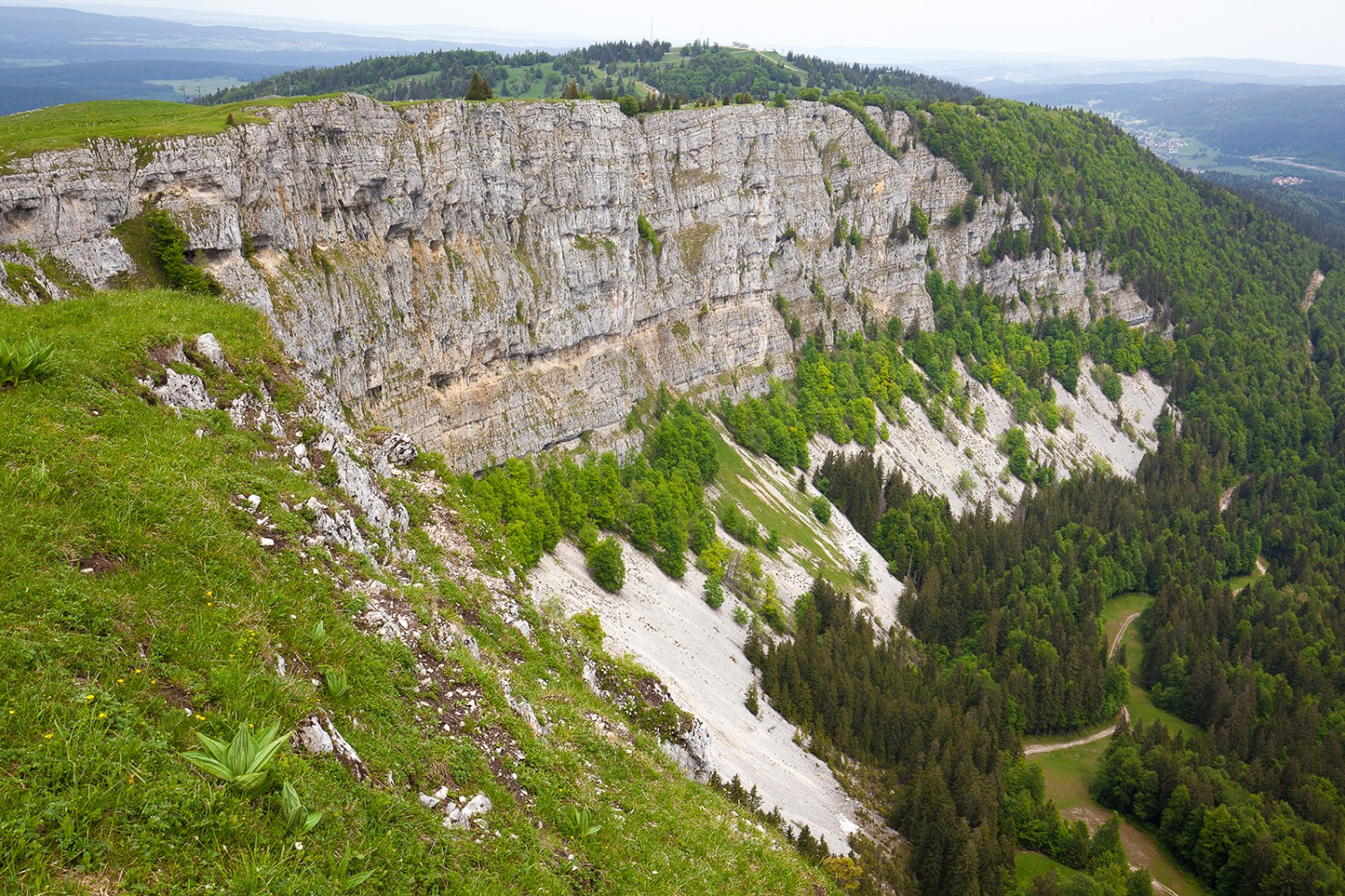 Vue depuis le Mont d’Or sur la vaste falaise rocheuse qui s’étend vers l’est. Photos: Anne-Sophie Scholl