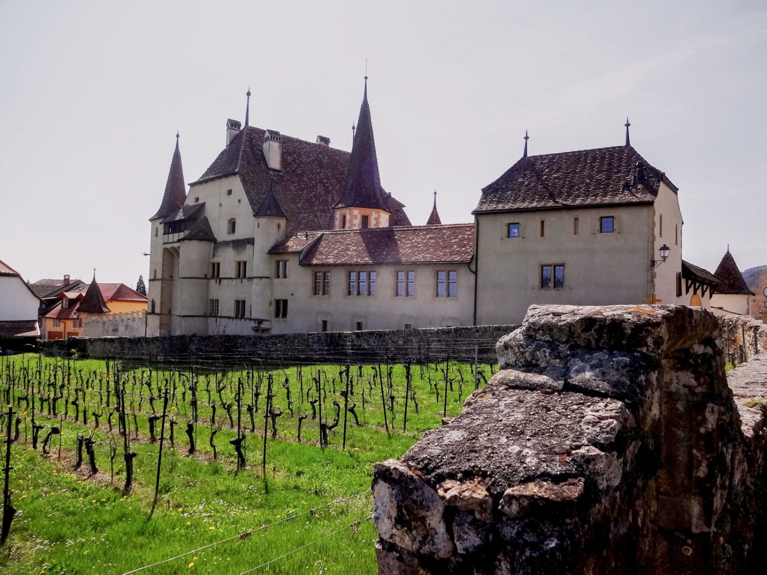 Construit vers 1610, le château de Cressier est bordé de vignes. Photo: Miroslaw Halaba