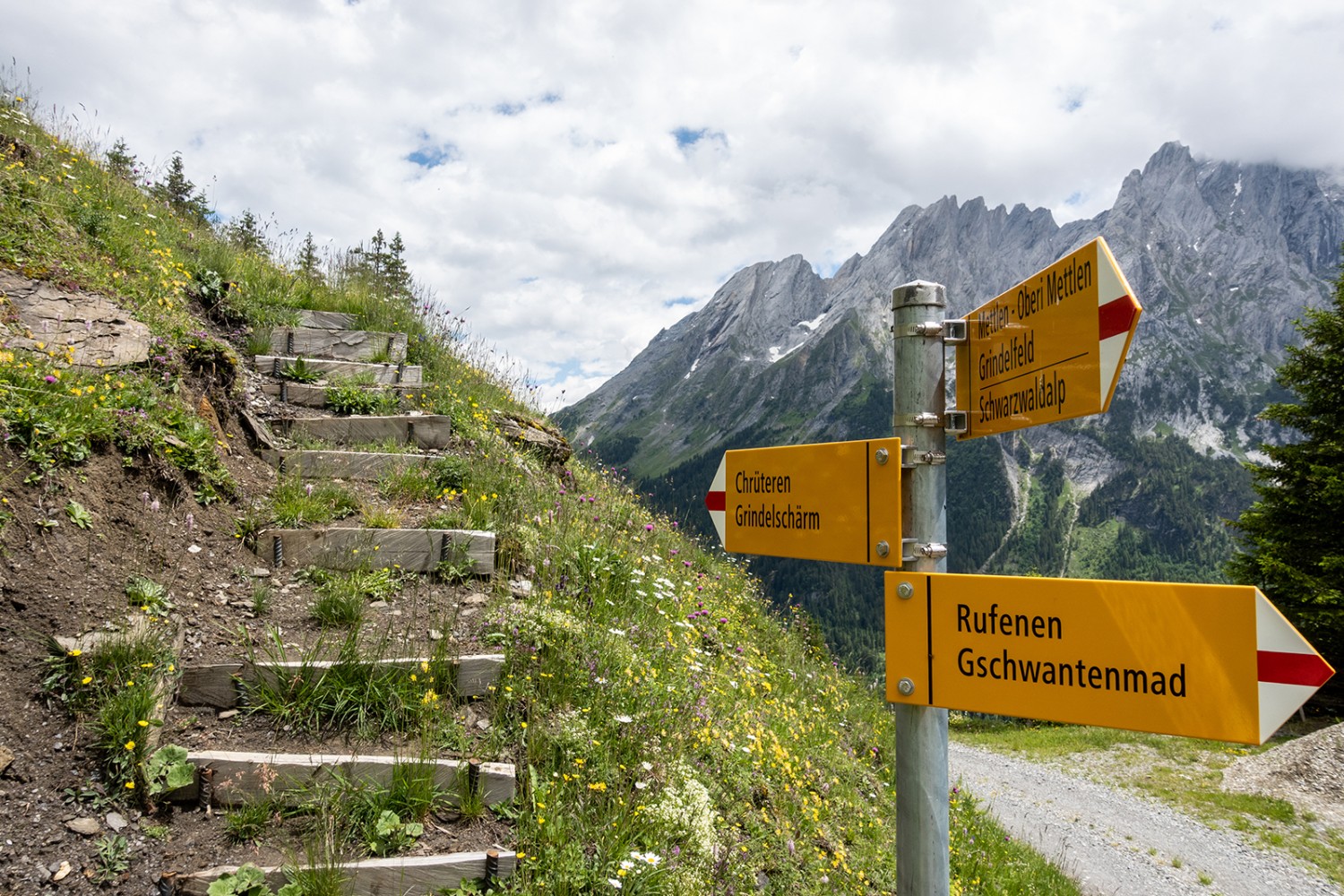 La route alpine (à droite) à Mettlen était aussi un chemin de randonnée; le nouveau sentier (à gauche) rejoint un pâturage par des marches en bois. Photos: Fredy Joss