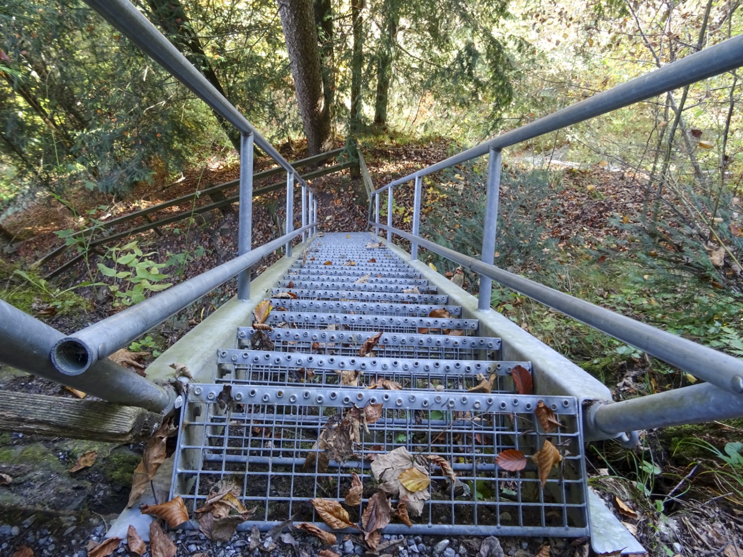 Die anspruchsvollste Stelle dieser Wanderung, eine fünf Meter hohe Leiter über ein Felsband. Bild: Sabine Joss