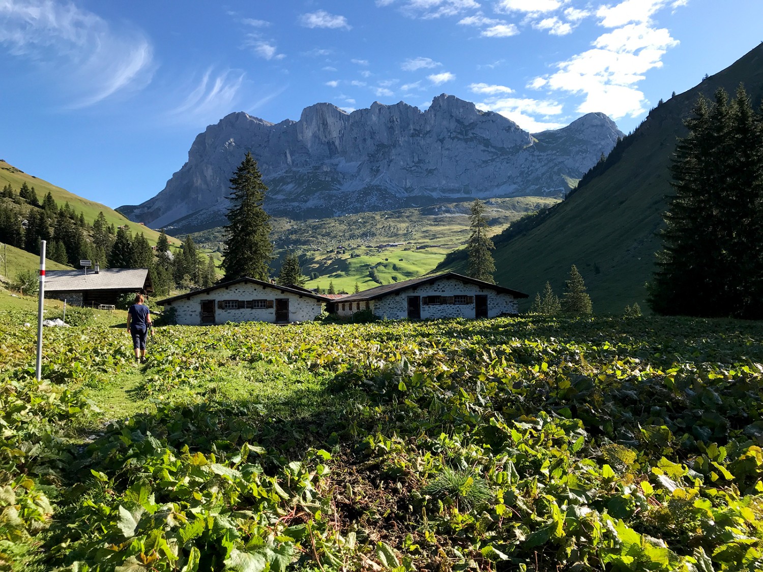 Vue sur le Schijenfluhe.
Photos: Werner Forrer