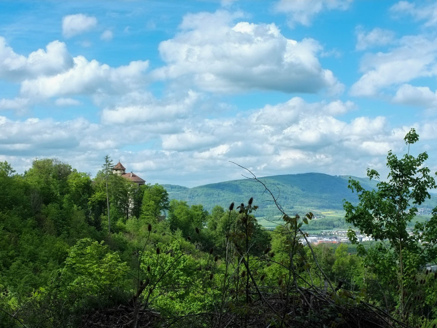 Soudain, la forêt s’éclaircit et l’on aperçoit le château de Reichenstein. Photo: Claudia Peter