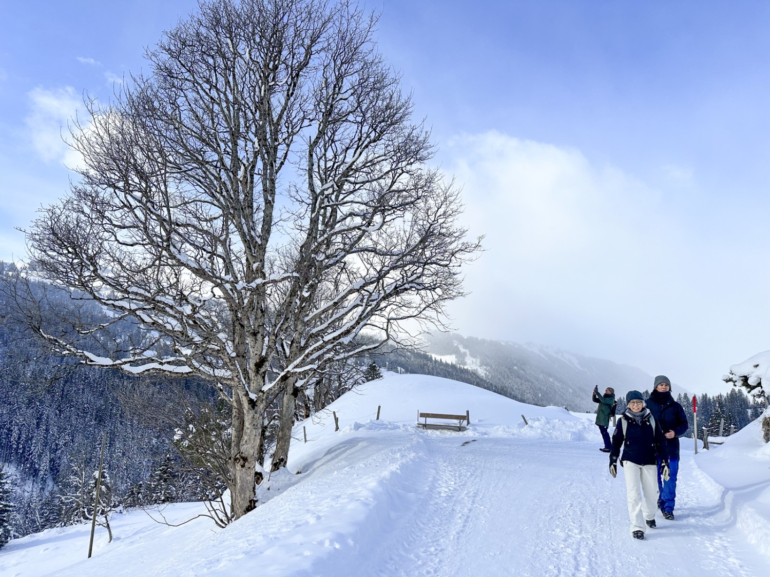 Le chemin de randonnée hivernale passe par une route large et damée. Photo: Thomas Gloor