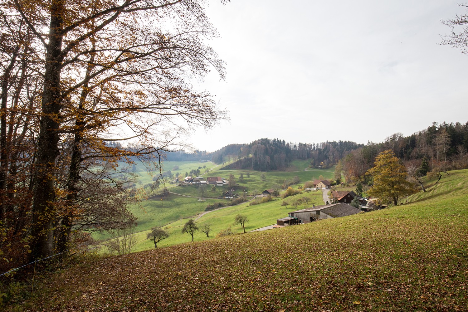 Agréable succession de montées et de descentes entre Niederwies et le Chabishaupt. Photos: Daniel Fleuti