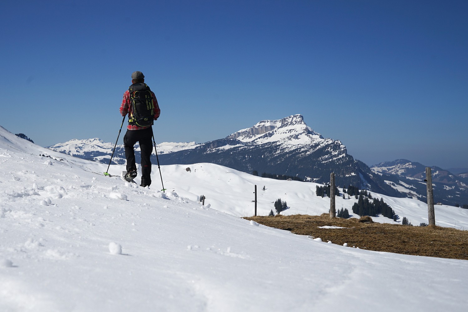 En direction du Hohgant: randonnée en raquettes au Blattenegg. Photos: Reto Wissmann

