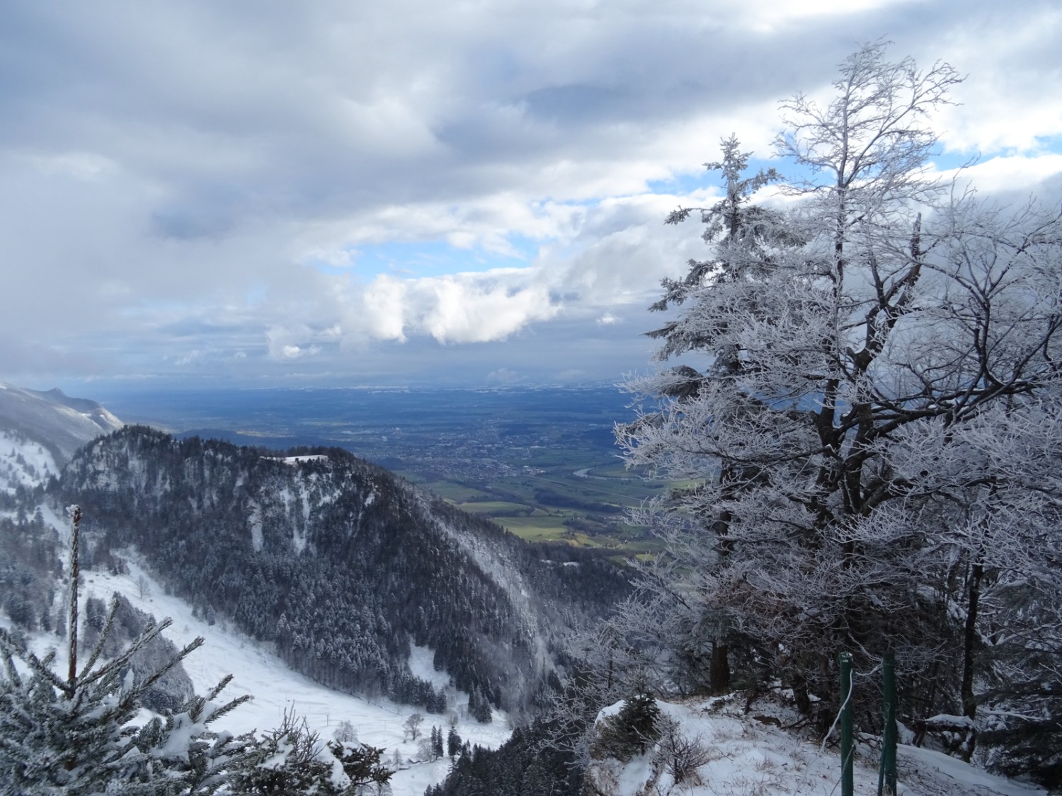 Sur le Wandfluh, l’hiver règne, alors que sur le Plateau tout est déjà vert. Photo: Sabine Joss