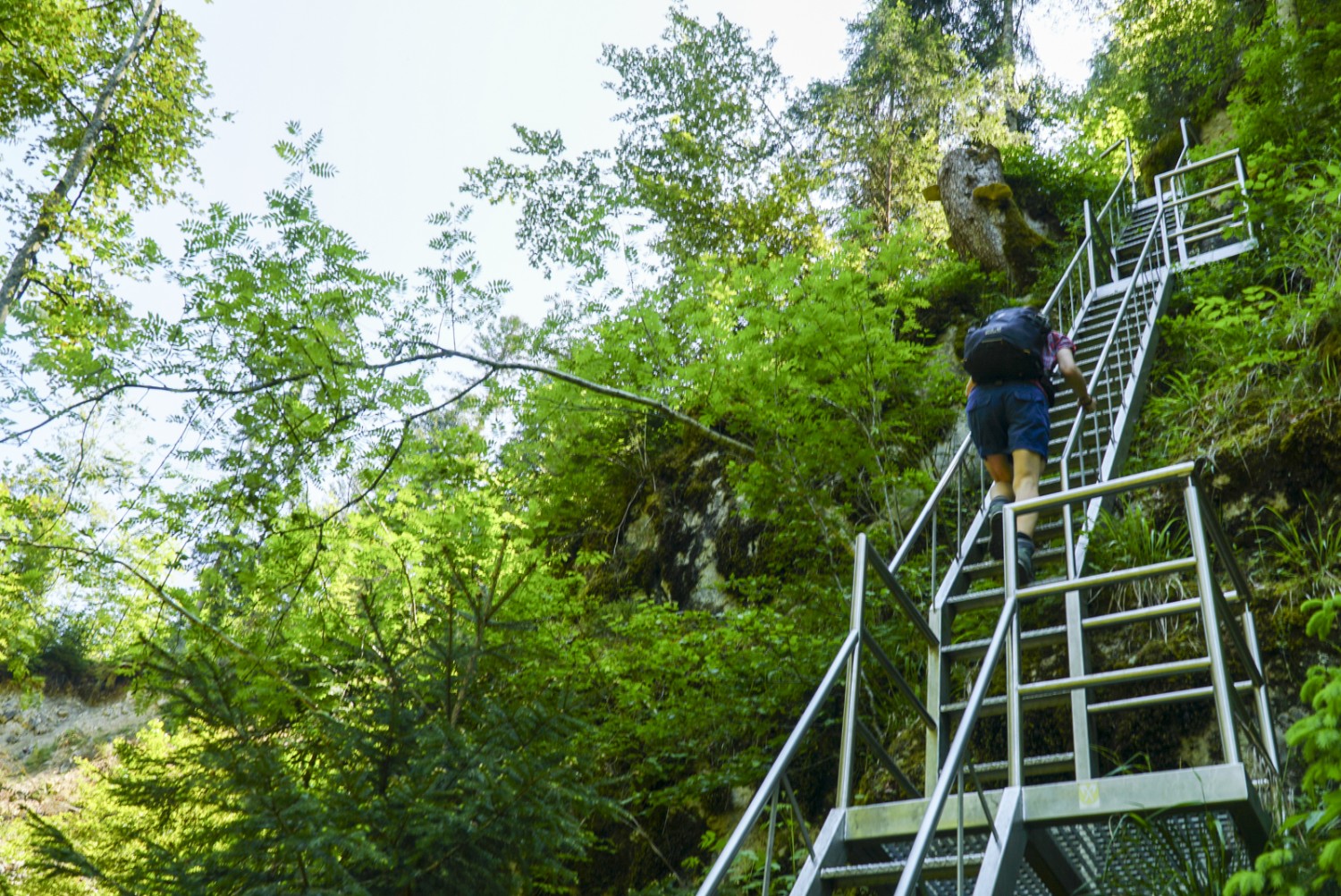 Die steilsten Stellen sind mit Leitern und Brücken gesichert. Bild: Mia Hofmann