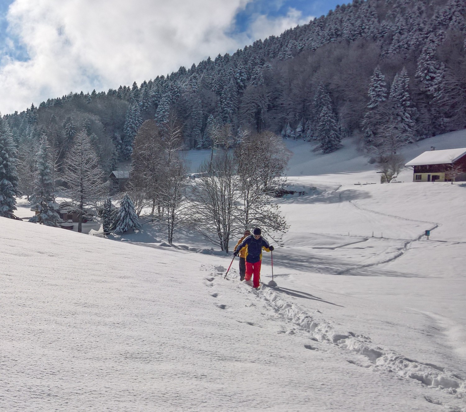 ... Mais il y a aussi des sections en terrain clair. Photo: Andreas Staeger