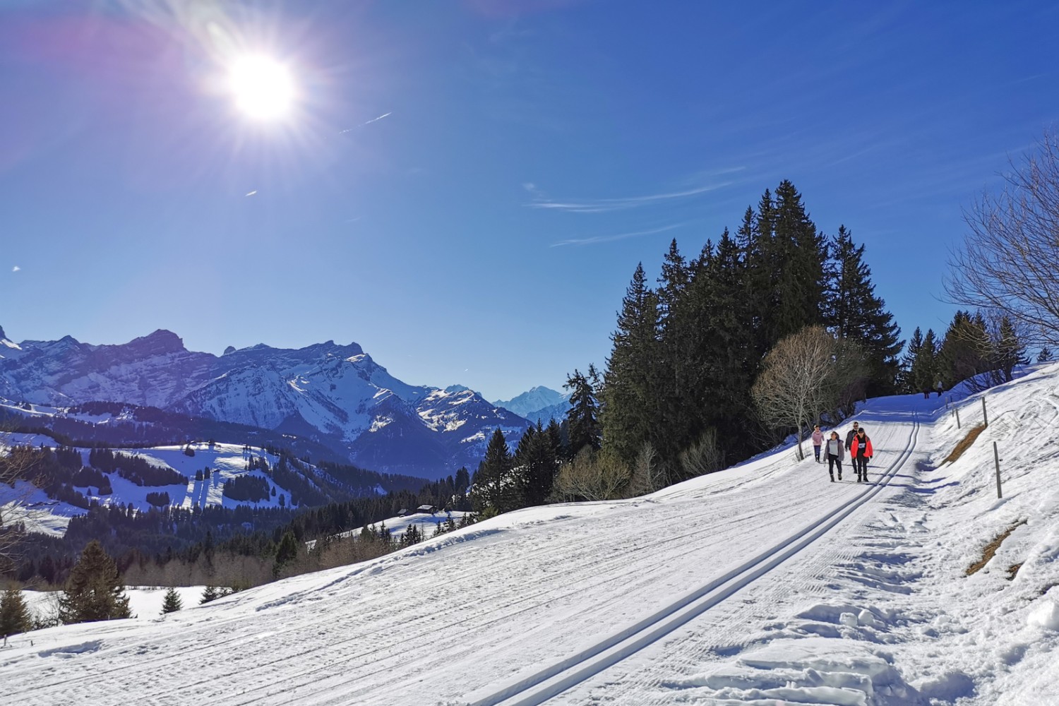 Bis zum Mont Blanc (in der Bildmitte) weitet sich die Sicht im zweiten Teil der Wanderung.
Bild: Andreas Staeger