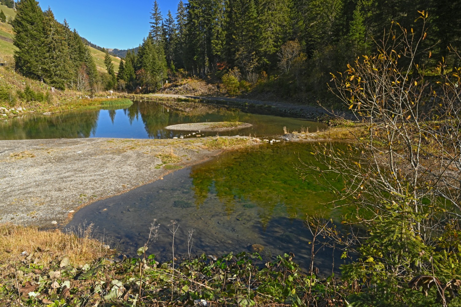 L’étang de Sassey est un endroit idéal pour faire une pause. Photo: natur-welten.ch