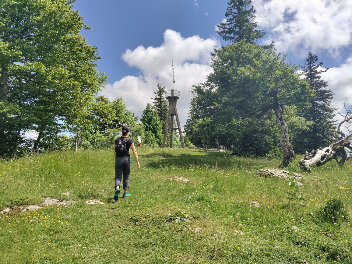 Poco prima di giungere in vetta del Mont Raimeux si trova una torre panoramica. Foto: Michael Dubach