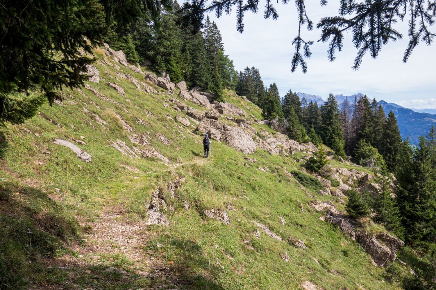 Entre Hinderelisiten et Vorderelisiten, la randonnée se fait sur des blocs de poudingue. Photo: Daniel Fleuti