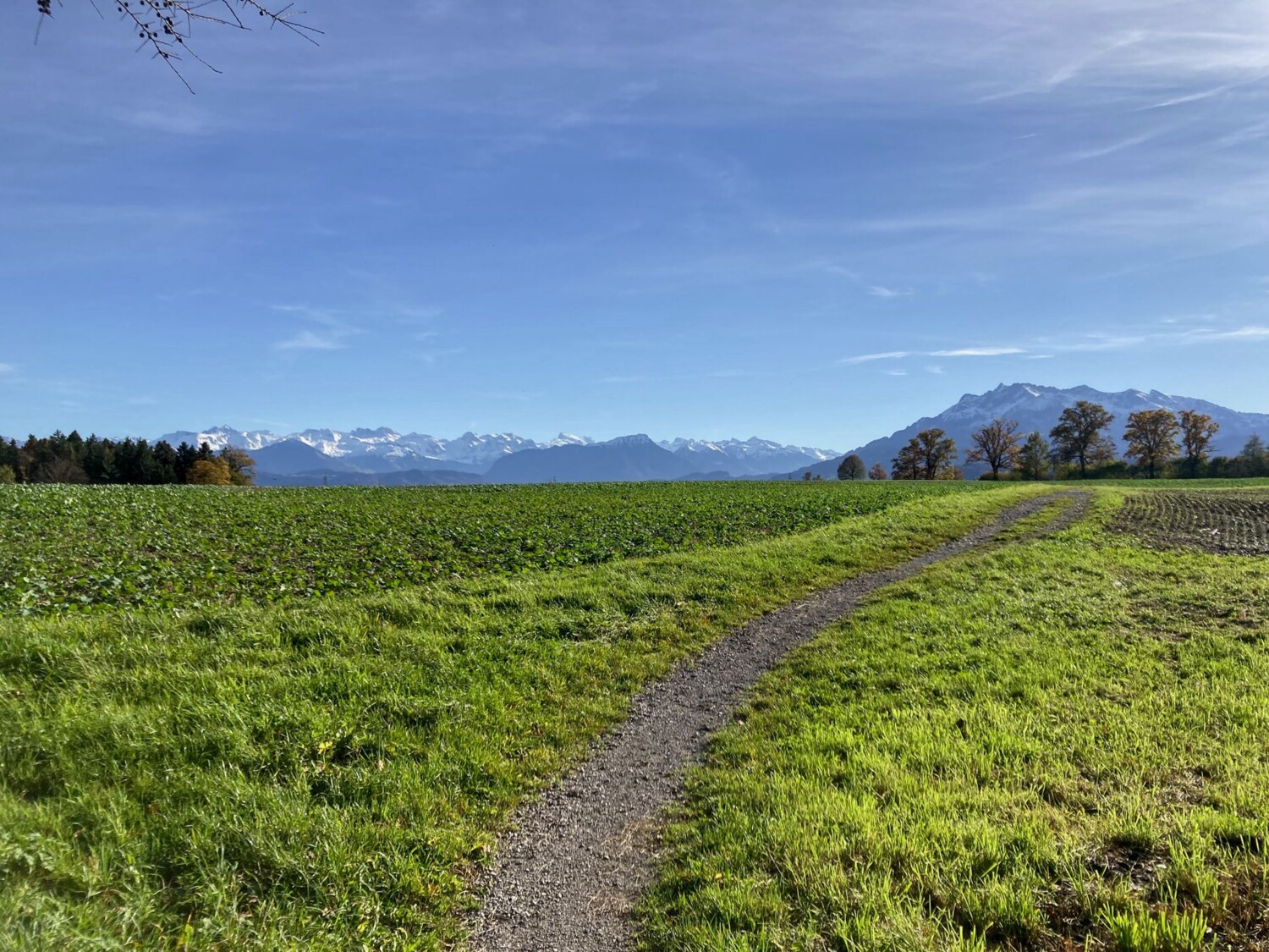 Un sentier qui invite à la randonnée: le Pilate à droite et les Alpes de Suisse centrale à gauche.