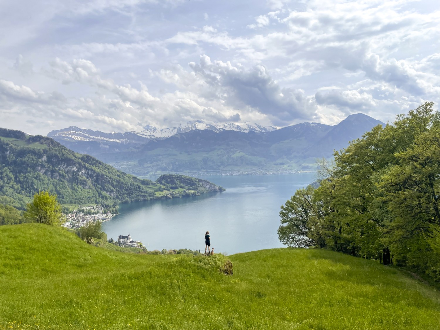 Un beau panorama depuis la Wilenalmig sur Vitznau et les sommets.
Photo: Wanderblondies