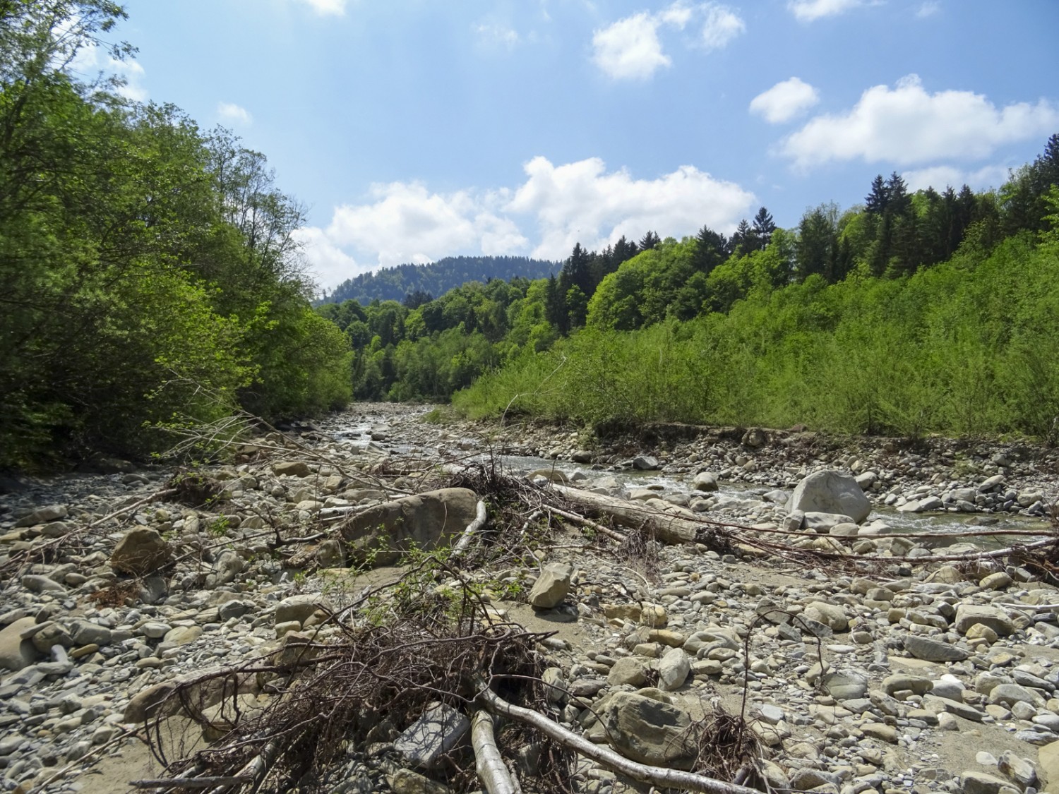 Le lit surdimensionné du ruisseau montre que l’Ärgera peut étonnamment gonfler en cas de fortes précipitations. Photo: Sabine Joss