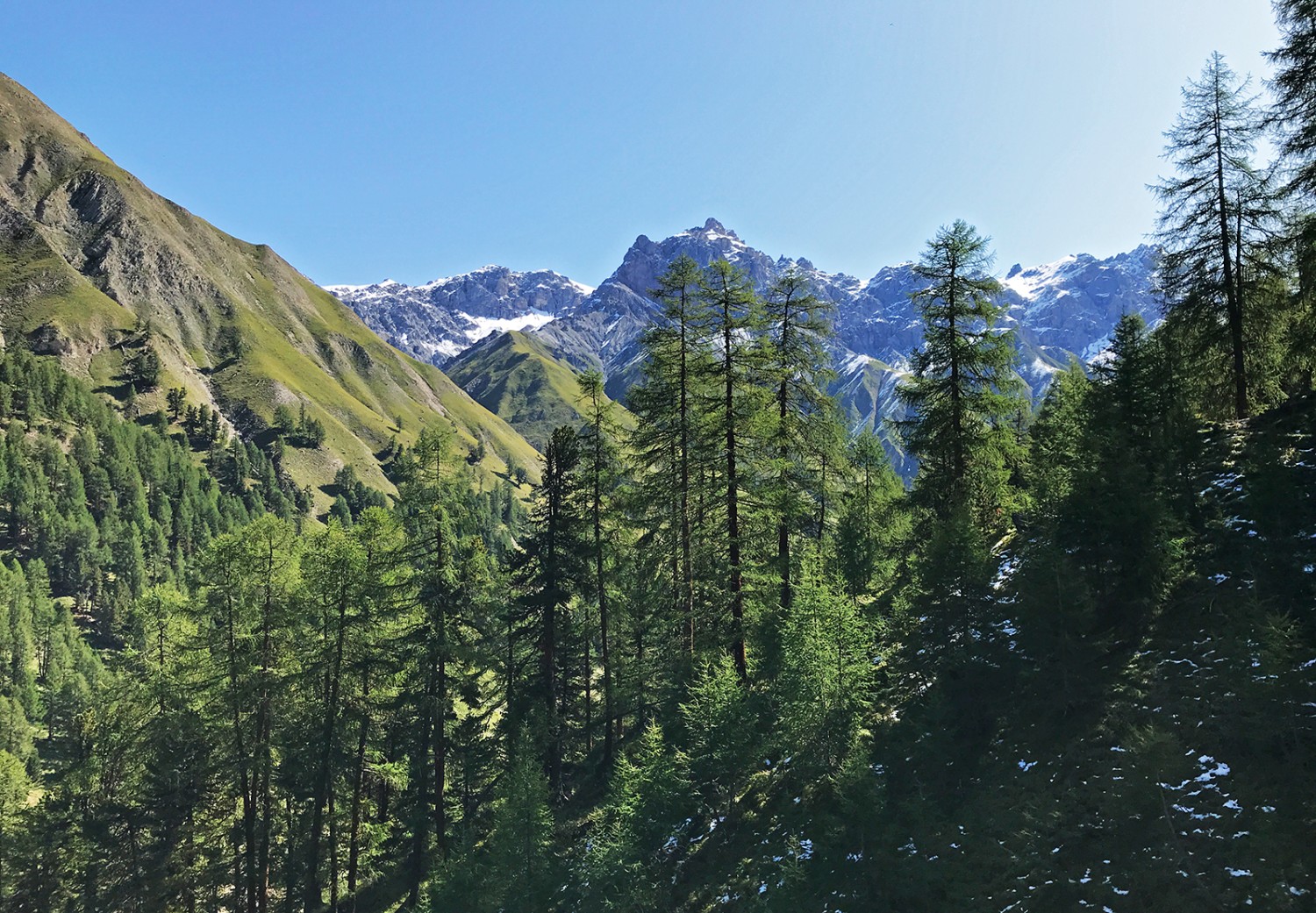 Blick ins Val Trupchun mit Piz Fier.
 Bilder: Werner Forrer